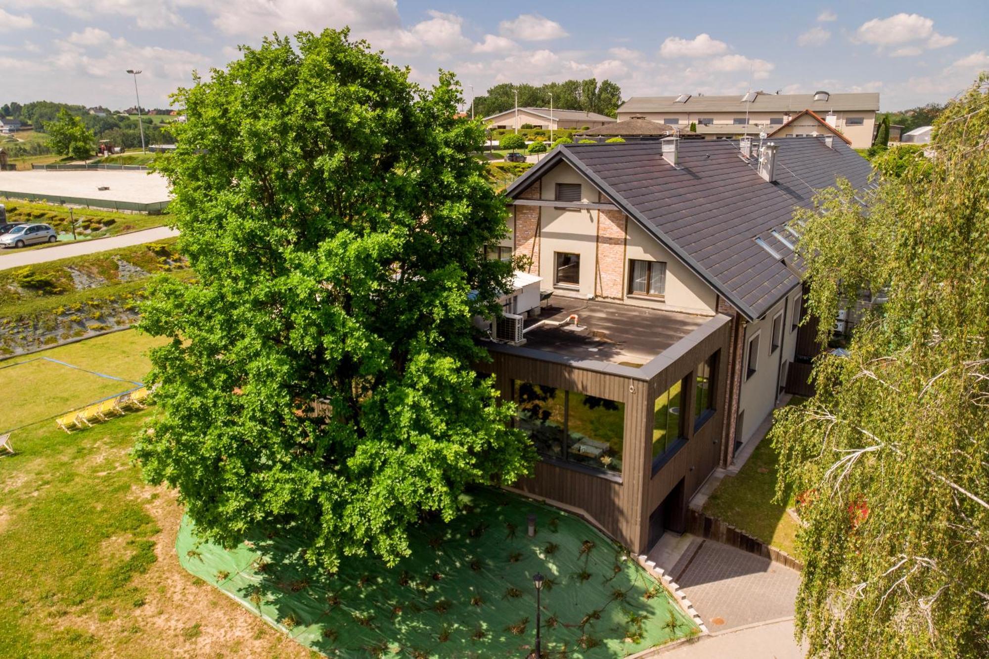 Hotel Szary Residence Michalowice  Eksteriør billede